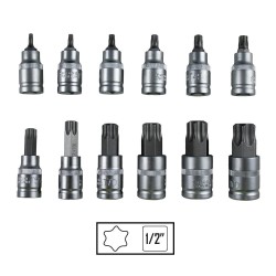 53103 - Caixa de 12 peças 1/2" ponta de torx - JBM