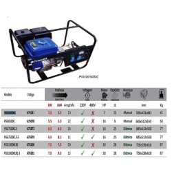 PGG6500C - Gerador a Gasolina (Motor 4 Tempos OHV) - POWERED
