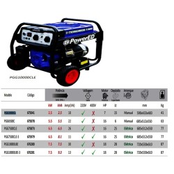 PGG10000LBE-3 - Gerador a Gasolina Elétrico (Motor 4 Tempos OHV) - POWERED